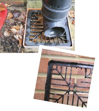 Rat damage to drain cover